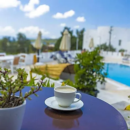 ホテル Bodrum Vera 4*